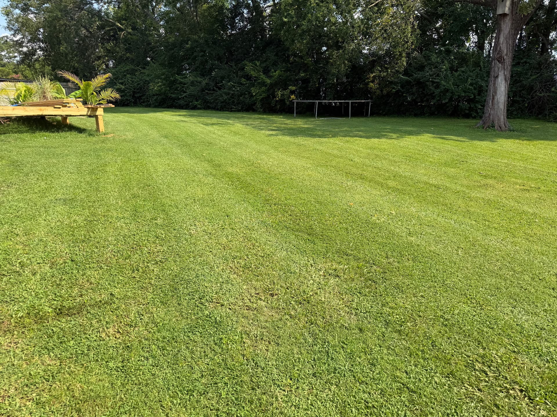 Lawn care project 2 by Nathan's Lawn Care