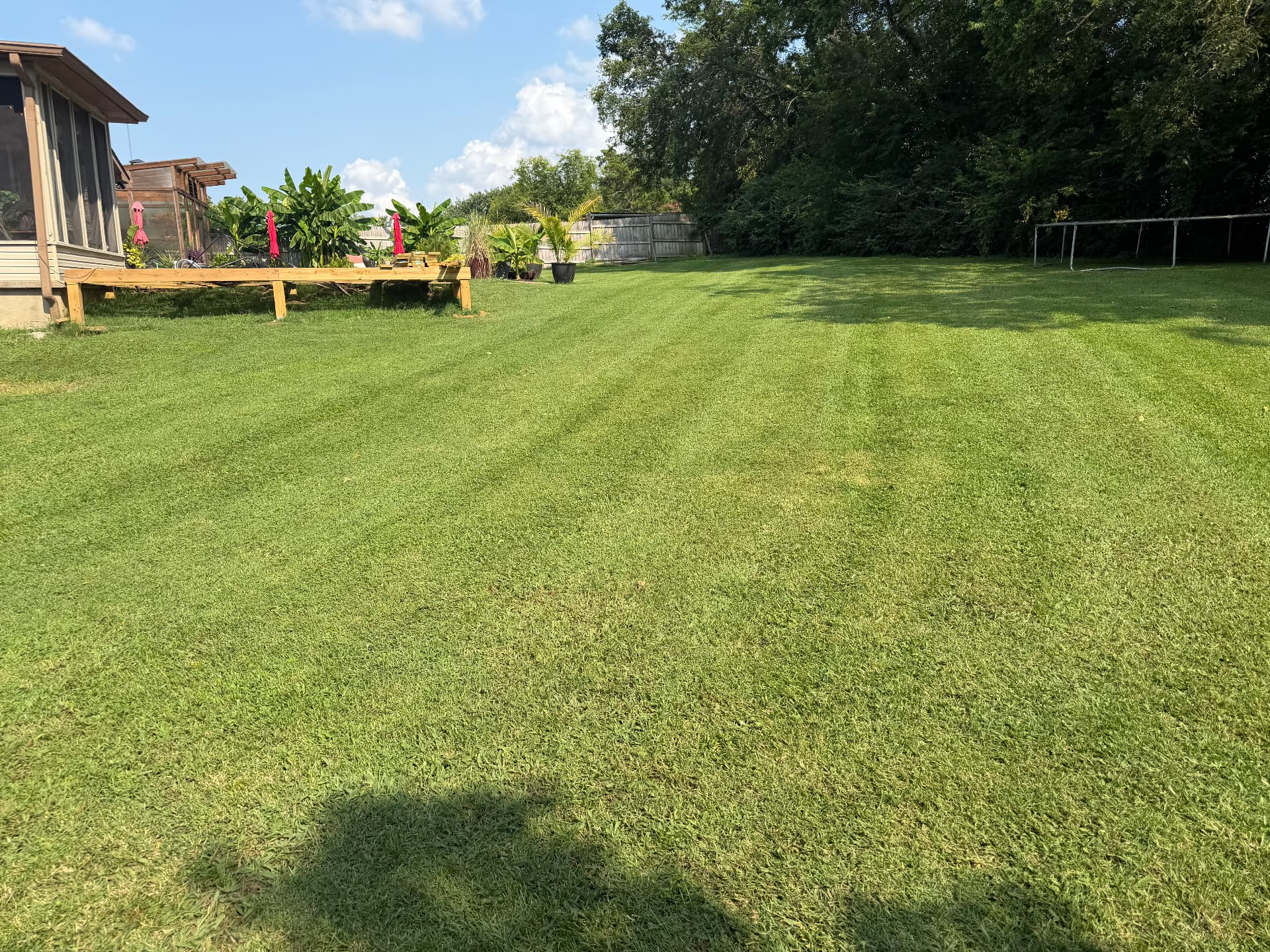 Lawn care project 4 by Nathan's Lawn Care