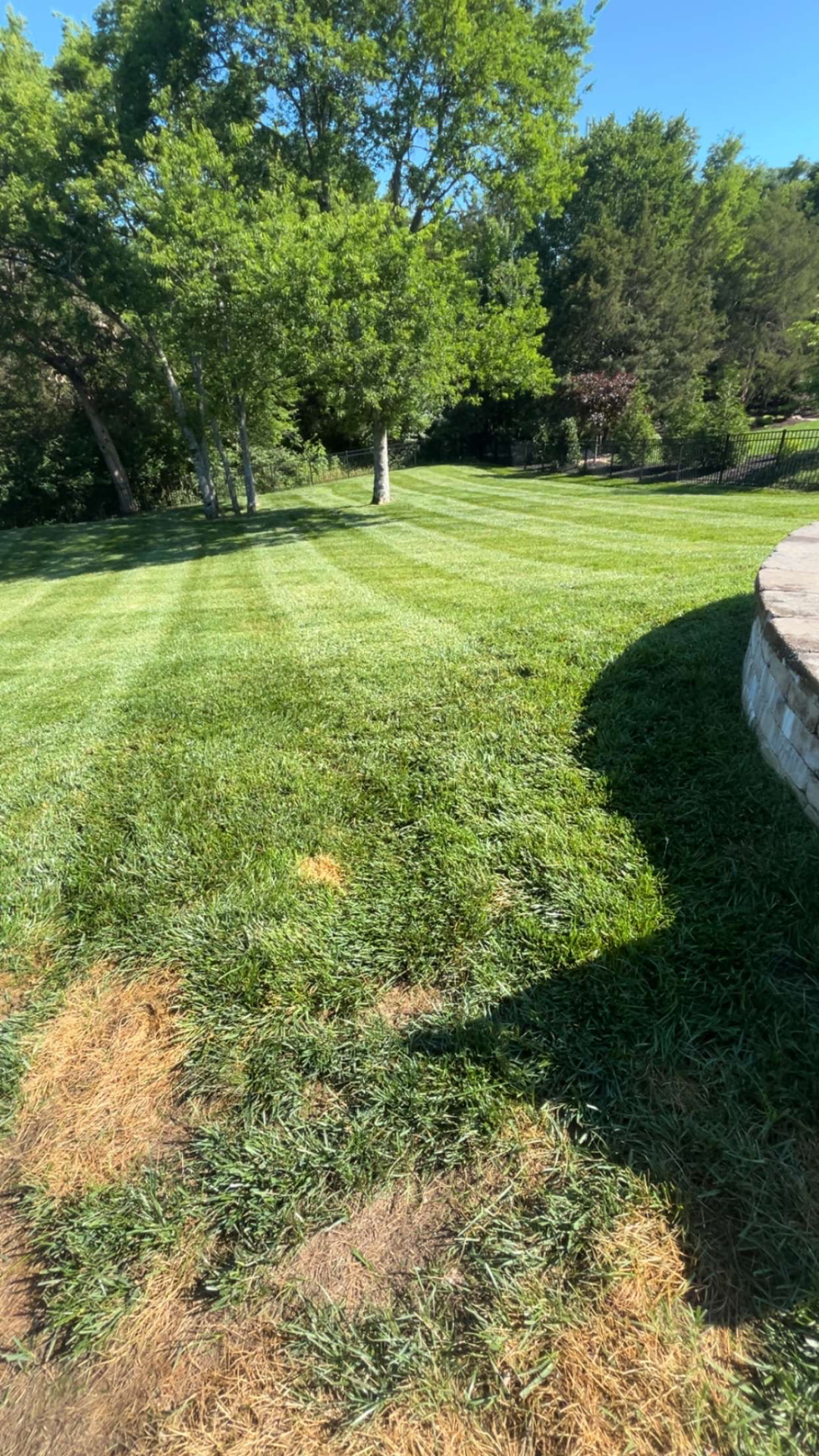 Freshly mowed lawn with mower stripes