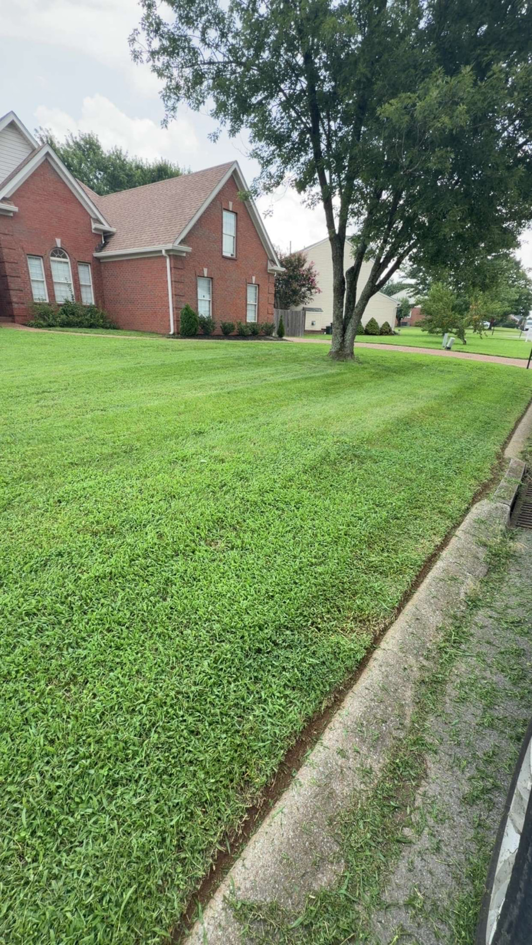 Lawn care project 1 by Nathan's Lawn Care